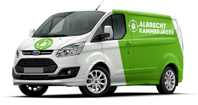 Araç